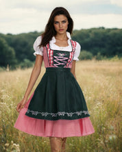 Geruite Oktoberfest Dirndl Jurk met Schort – Authentieke Dameskleding