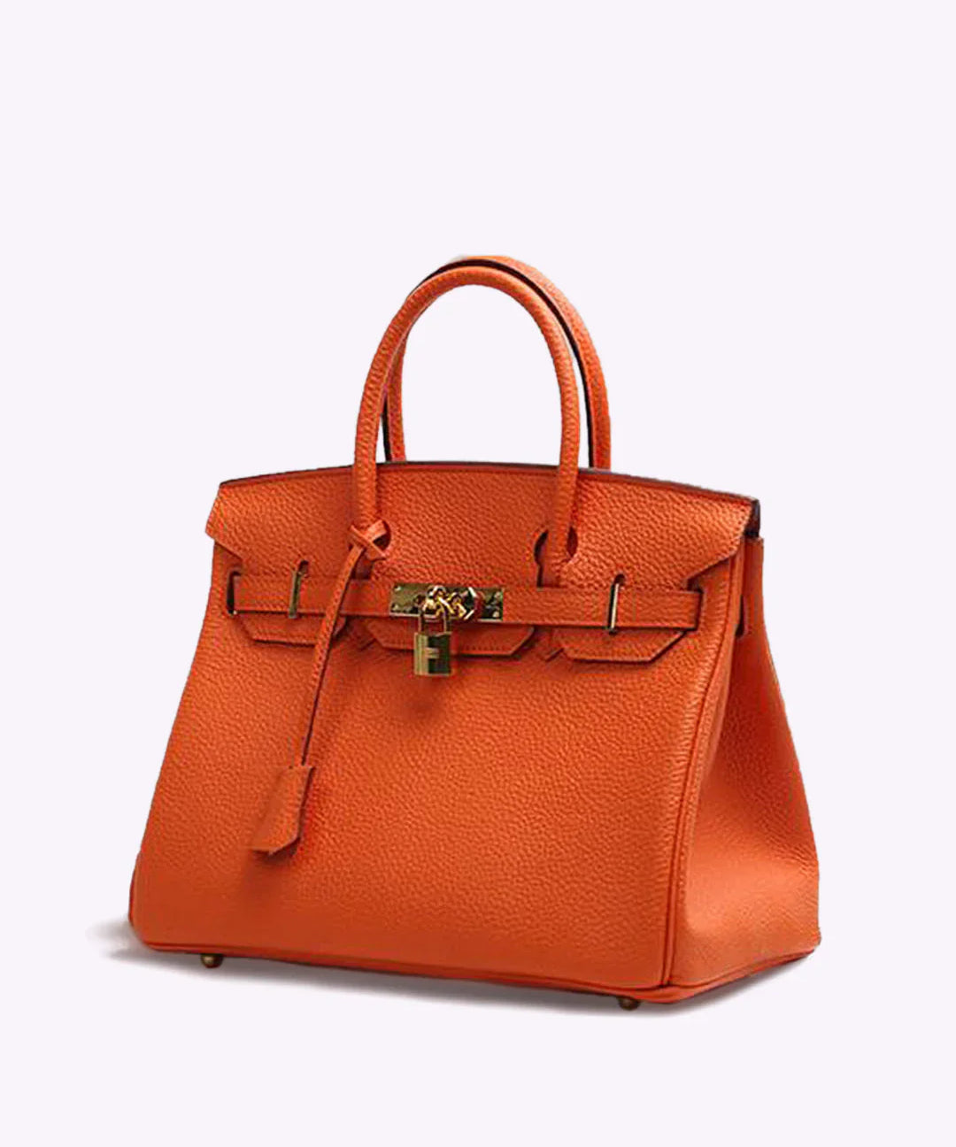 Luxe Leren Handtas – Stijlvolle Remi met Gouden Details en Tijdloze Klasse