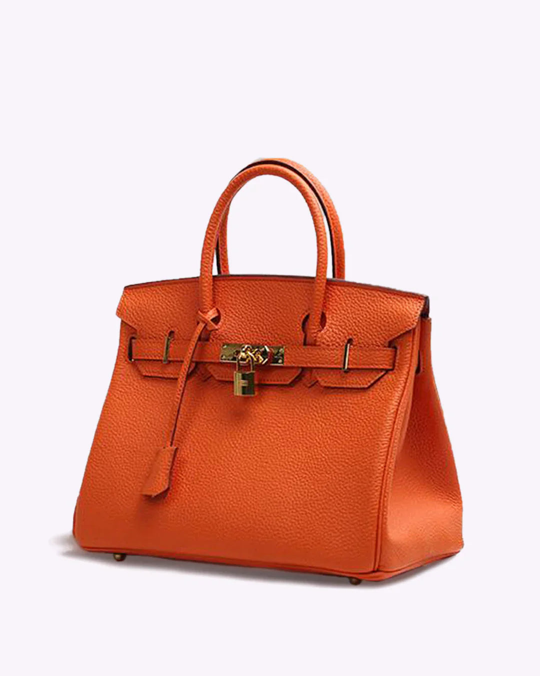 Luxe Leren Handtas – Stijlvolle Remi met Gouden Details en Tijdloze Klasse