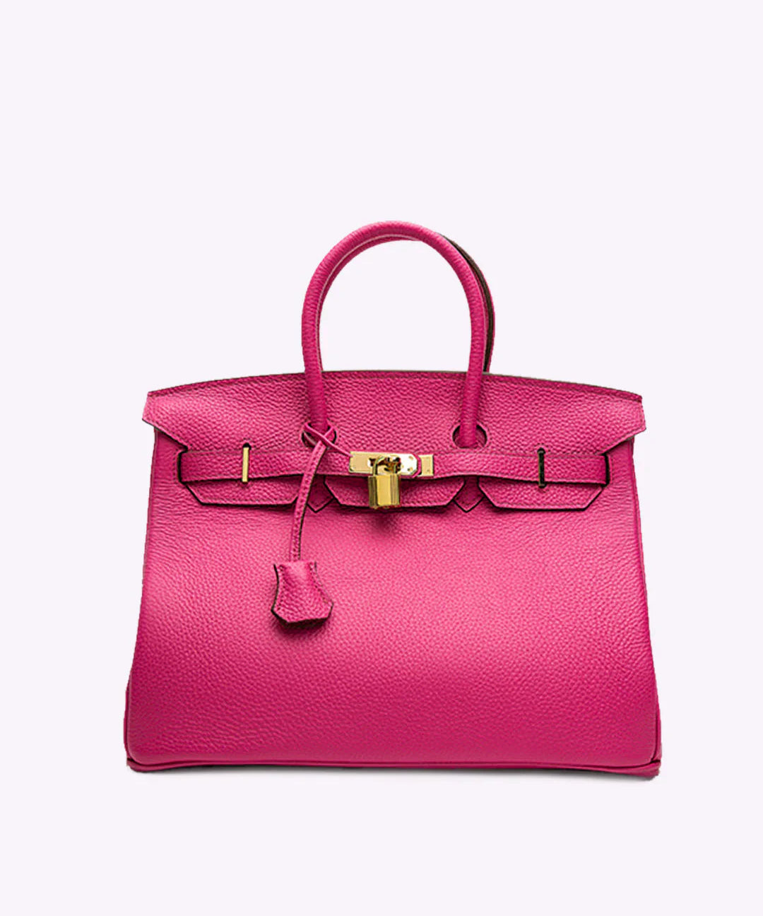 Luxe Leren Handtas – Stijlvolle Remi met Gouden Details en Tijdloze Klasse