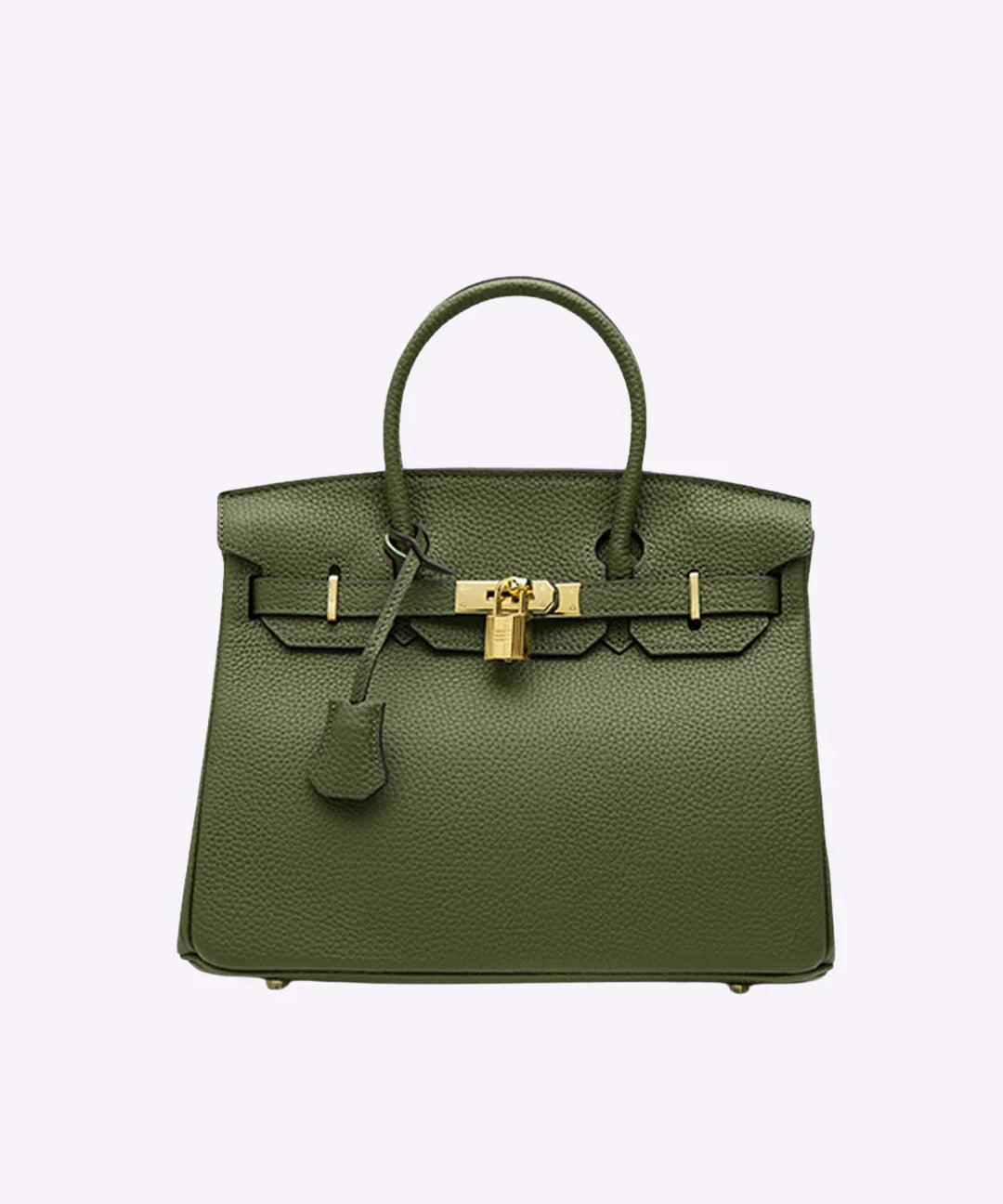 Luxe Leren Handtas – Stijlvolle Remi met Gouden Details en Tijdloze Klasse