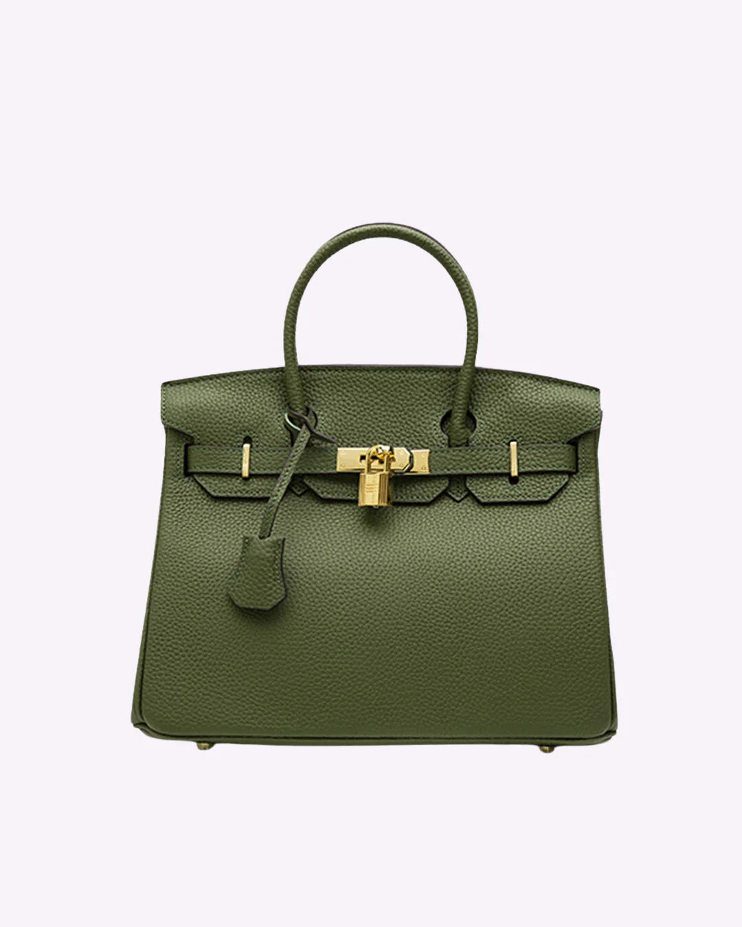 Luxe Leren Handtas – Stijlvolle Remi met Gouden Details en Tijdloze Klasse