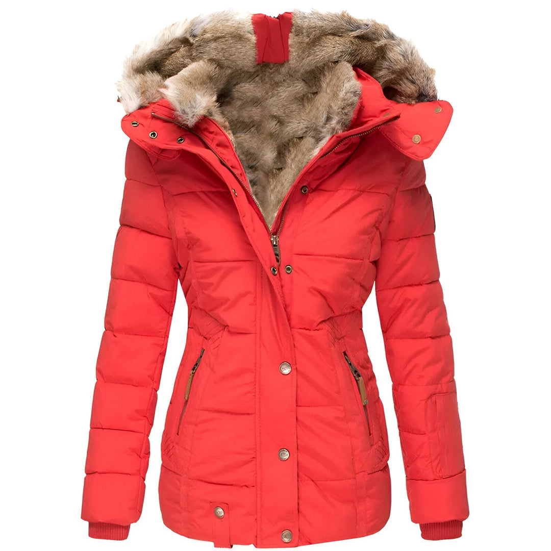 Dames winterjas met capuchon – gewatteerde puffer jas met getailleerde pasvorm
