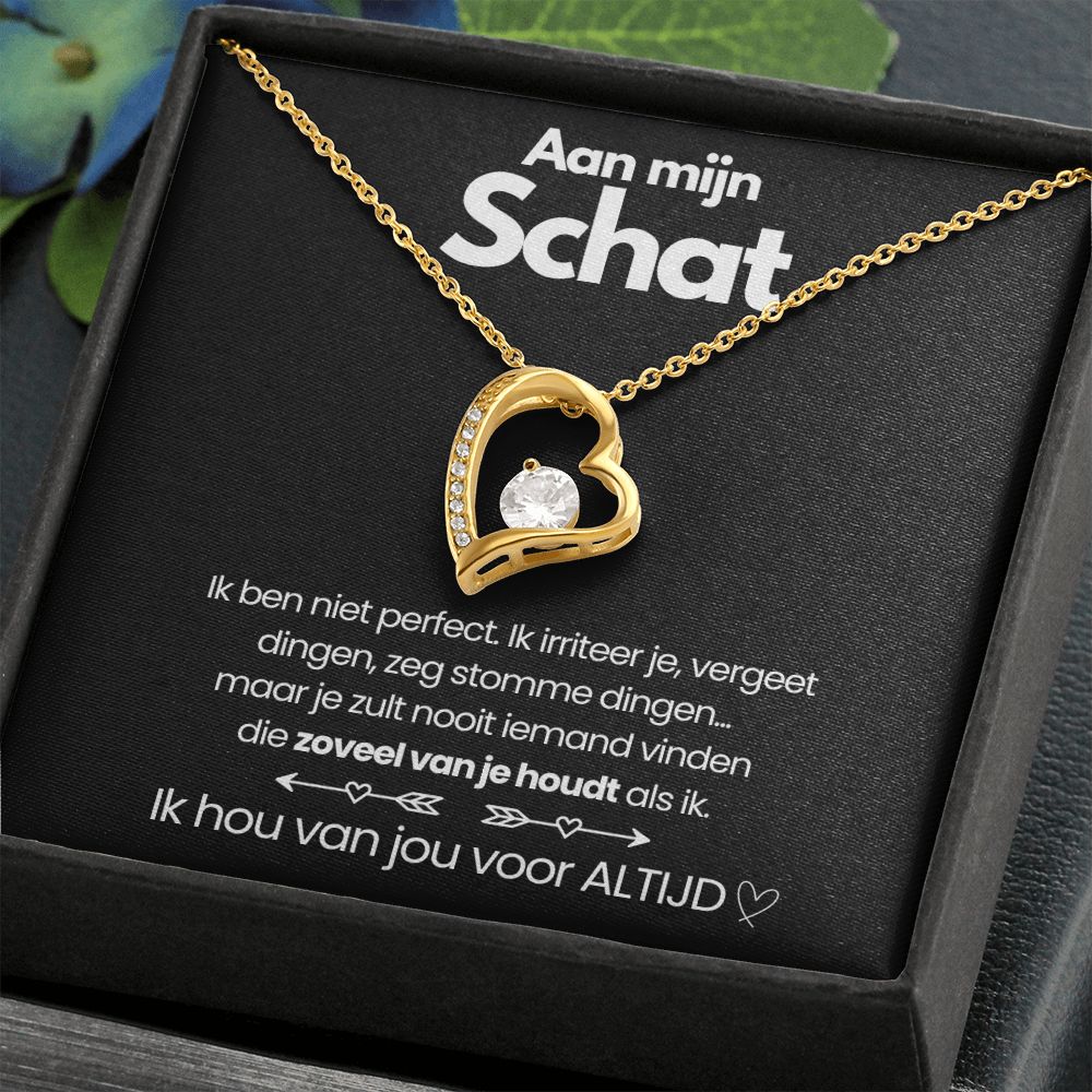 TimelessLove hart ketting – elegant sieraad met zirkonia steen