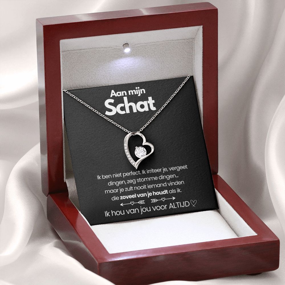 TimelessLove hart ketting – elegant sieraad met zirkonia steen